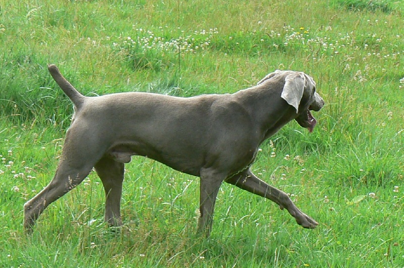 Chreck du Gué de la Haute Loue